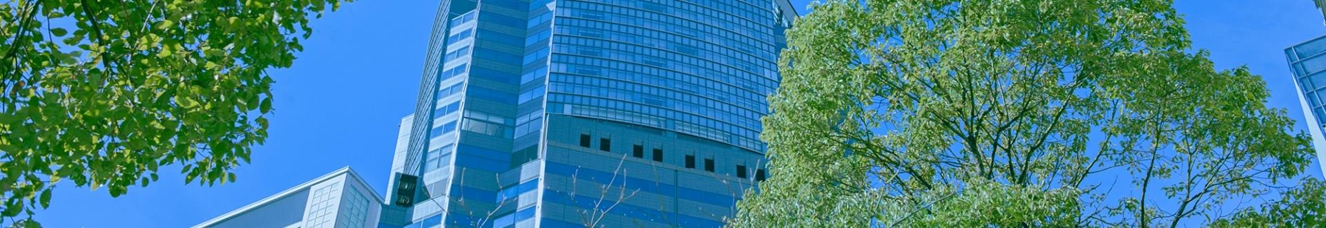 ページタイトル